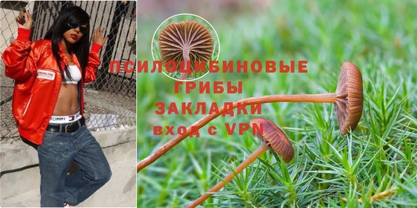 гидропоника Алексеевка