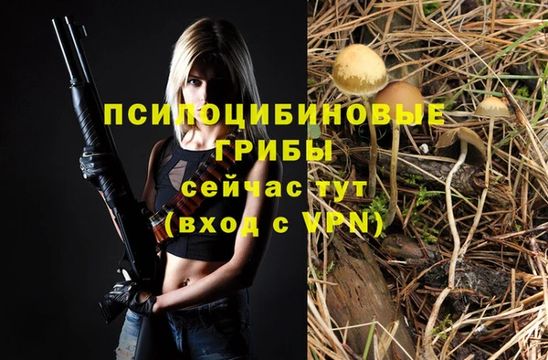 гидропоника Алексеевка