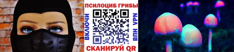 Галлюциногенные грибы Cubensis Серов