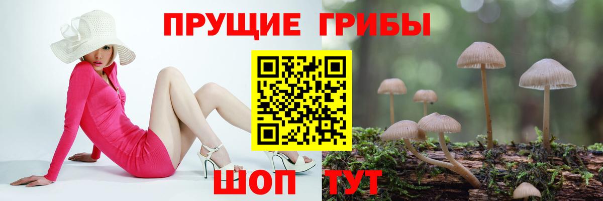 Псилоцибиновые грибы Psilocybine cubensis Серов