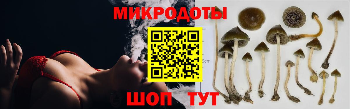 Серов  Галлюциногенные грибы GOLDEN TEACHER  Вход с VPN 