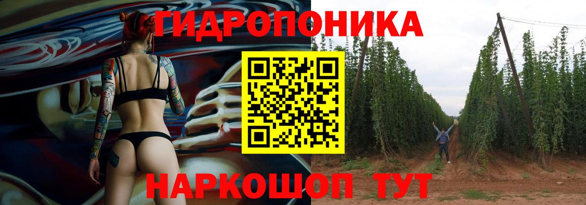 Конопля гибрид Серов